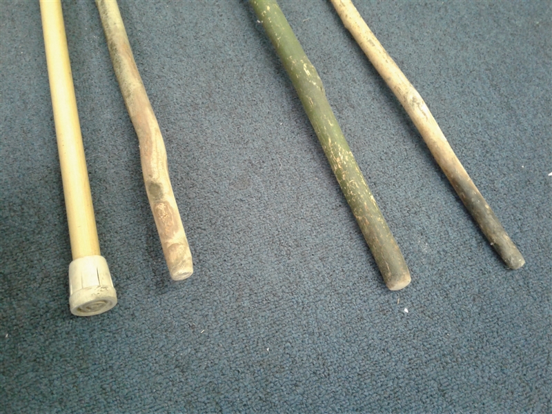 Walking Sticks & Canes
