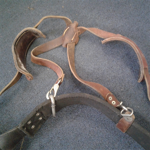 Dewalt Contractor's Tool Belt with Detachable Suspenders
