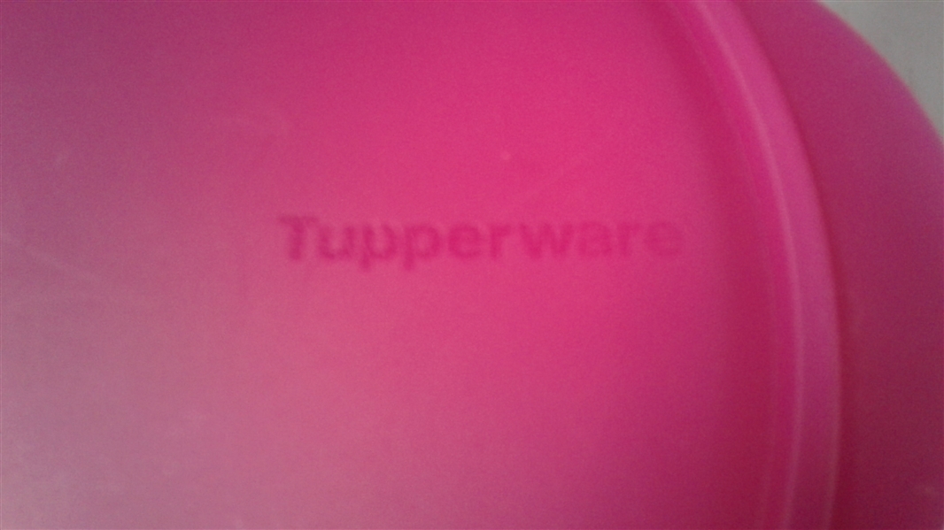 Tupperware Collapsible Bowls with Lids