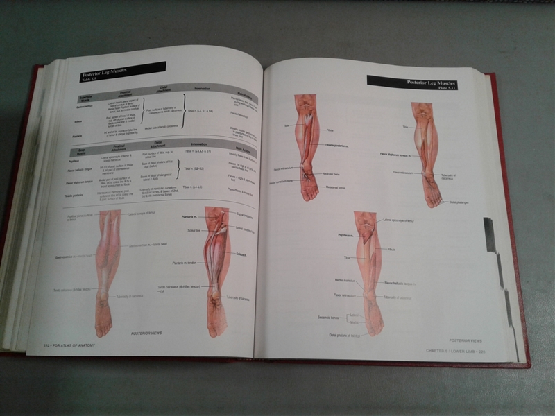 Family Medical Guide, PDR Atlas of Anatomy, Symptoms and Remedies 