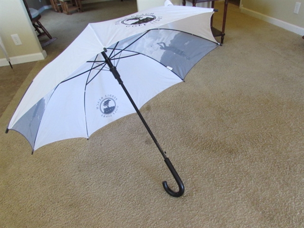 UMBRELLA STAND W/UMBRELLAS & CARVED WOODEN CANE