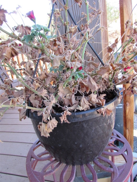 METAL PLANT STAND & ASSORTED PLASTIC POTS