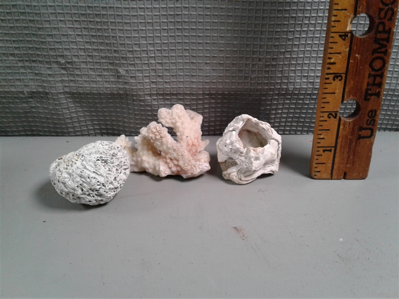 Rocks, Rock Tumbler, and Shells 