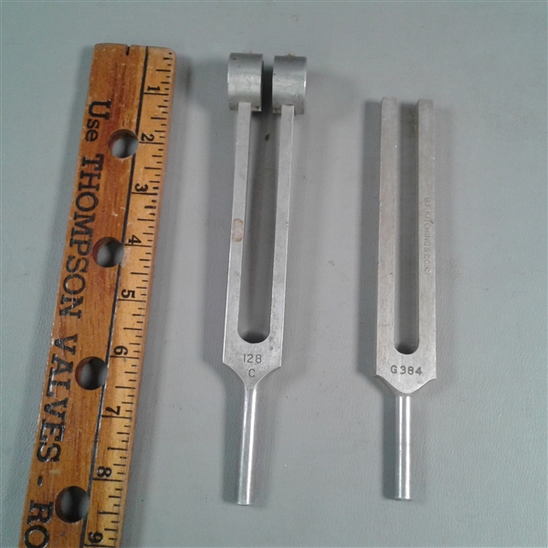 Two Tuning Forks 