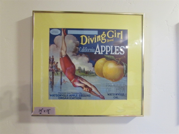 DIVING GIRL AND HAVE ONE FRUIT PICTURES