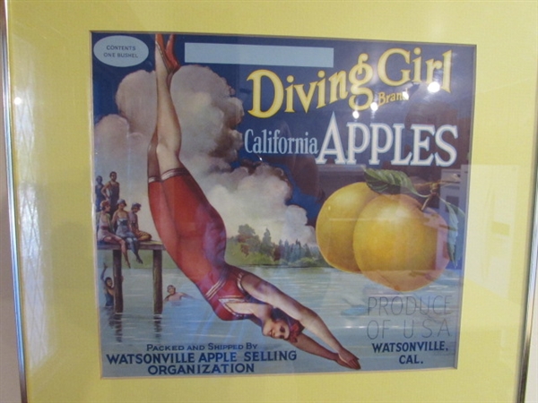 DIVING GIRL AND HAVE ONE FRUIT PICTURES