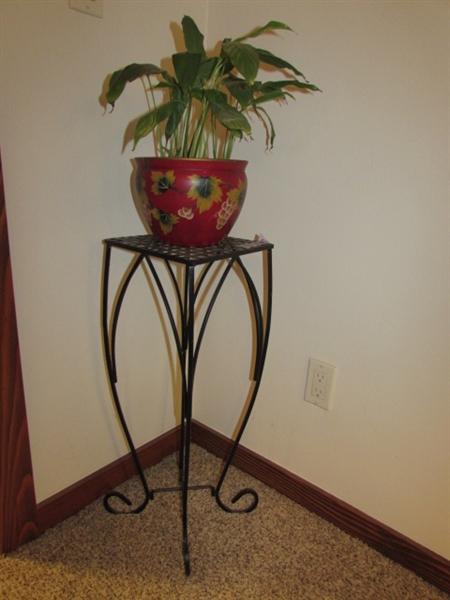 WOVEN WROUGHT IRON PLANT STAND LIVE PLANT IN PLANTER