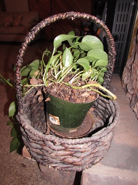 WICKER AND WOVEN BASKETS PLUS A LIVE POTHOS HOUSEPLANT