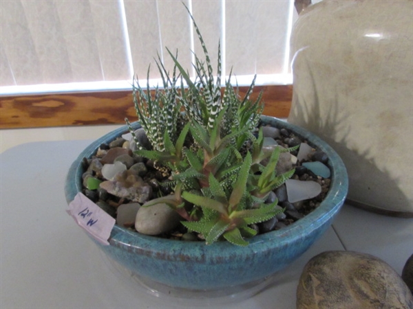 LIVE SUCCULENTS IN GLAZED TERRACOTTA PLANTER, CRAQUELURE POTTERY, TWO ADORABLE METAL BIRDS