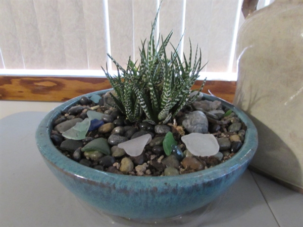 LIVE SUCCULENTS IN GLAZED TERRACOTTA PLANTER, CRAQUELURE POTTERY, TWO ADORABLE METAL BIRDS