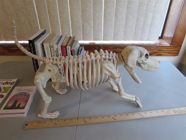 BEAGLE BONEZ DOG SKELETON & BOOKS ON DOGS