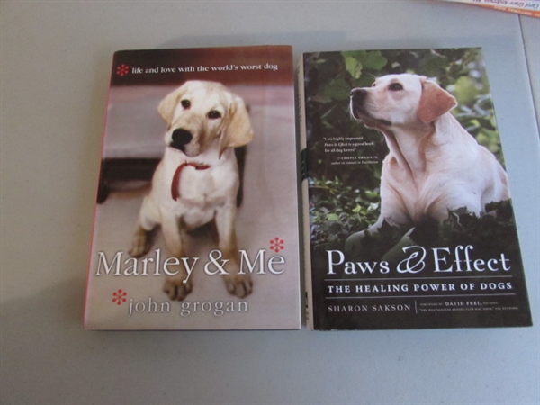 BEAGLE BONEZ DOG SKELETON & BOOKS ON DOGS