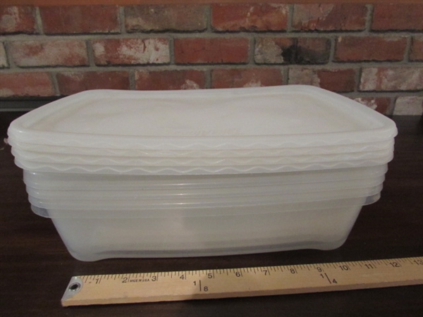 POPSICLE MOLDS, ICE TRAYS & STORAGE CONTAINERS