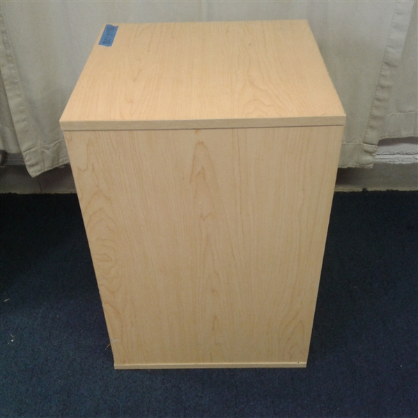 Small 2 Drawer File Cabinet 