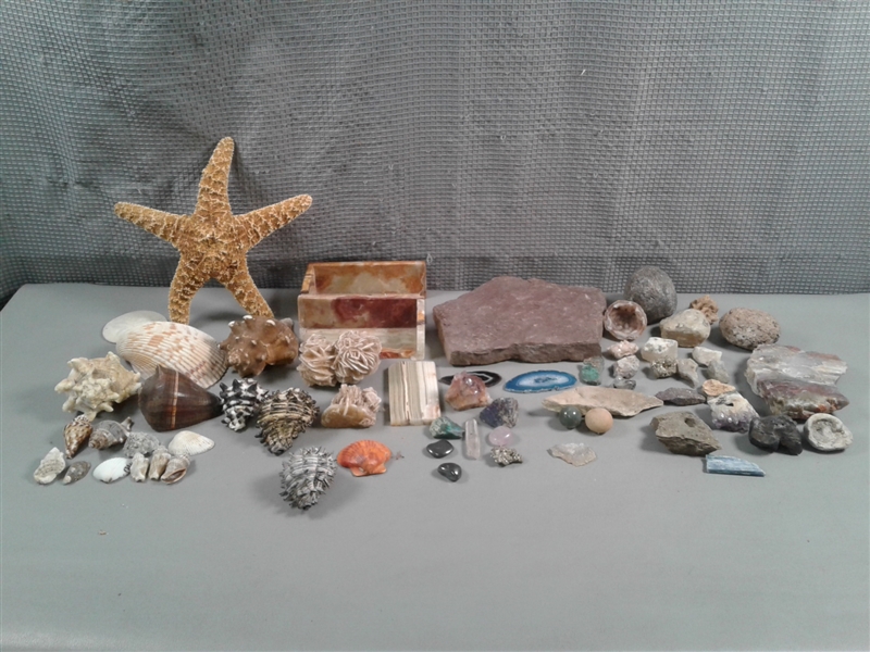 Collection of Shells, Starfish, Rocks, Geodes Etc