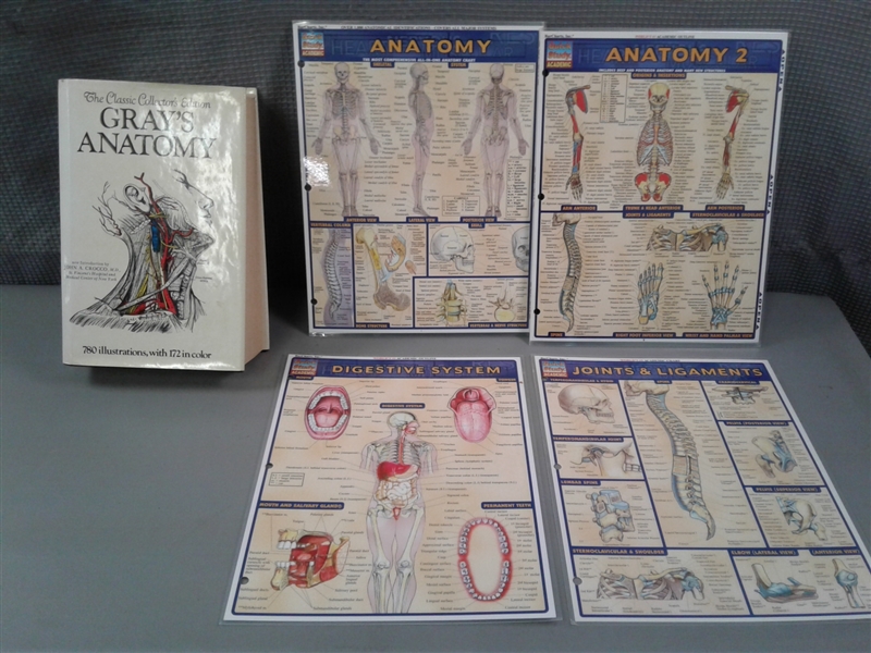 Gray's Anatomy The Classic Collector's Edition & Diagrams