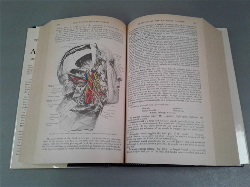 Gray's Anatomy The Classic Collector's Edition & Diagrams