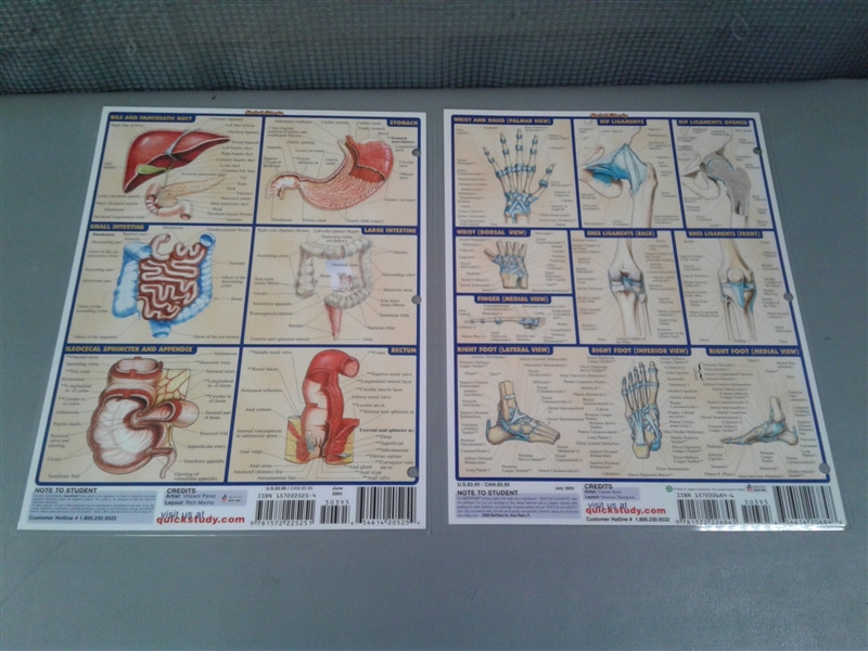 Gray's Anatomy The Classic Collector's Edition & Diagrams