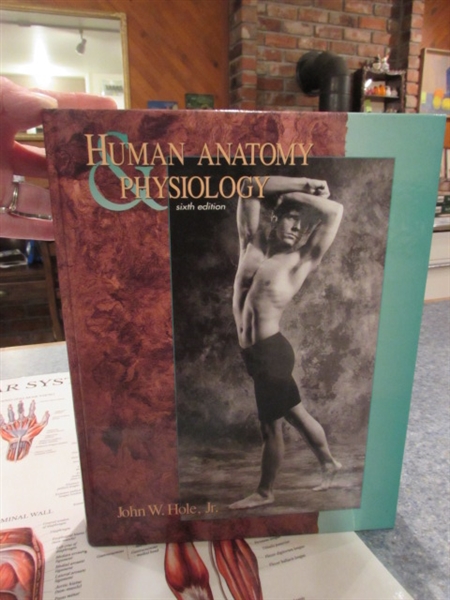 MALE ACUPUNCTURE GUIDE FORM, ANATOMY, BOOKS & POSTER