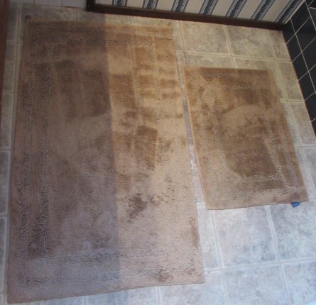 2 LATTE SIMPLY VERA WANG BATH RUGS