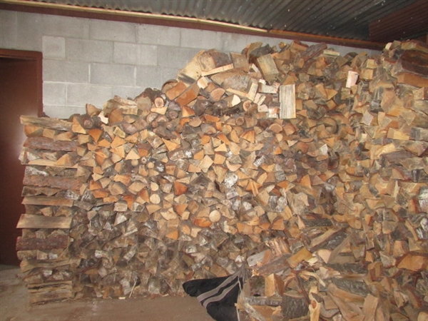 LOTS OF SMALL CUT FIREWOOD - SEASONED - MOSTLY PINE