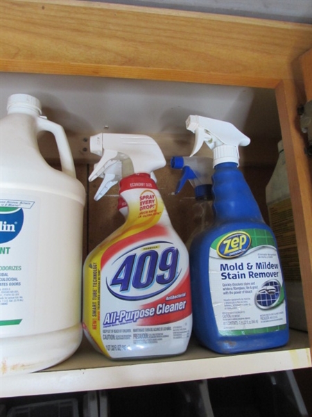 CUPBOARD CONTENTS - SORTING BINS, PAINT, CLEANERS, ETC.