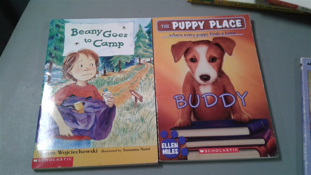 Collection of 20 Scholastic Children's Chapter Books