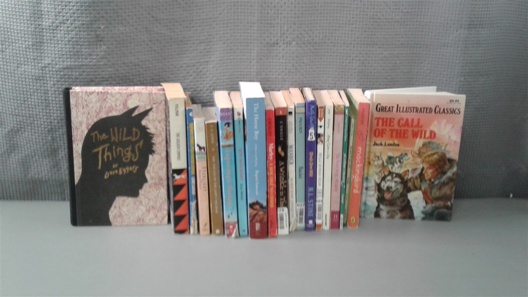 Collection of 20 Children's Chapter Books