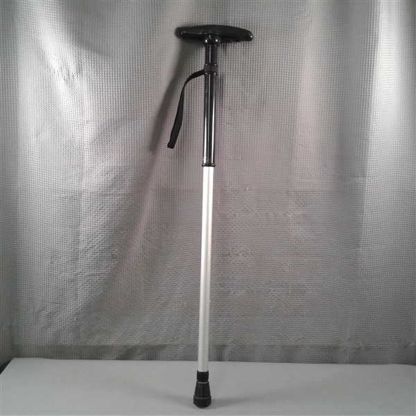 2 Walkers, 1 Tray, Adjustable Cane