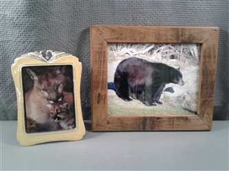 Rustic Framed and Signed Picture of "Shasta Bear" and Framed Big Cat picture