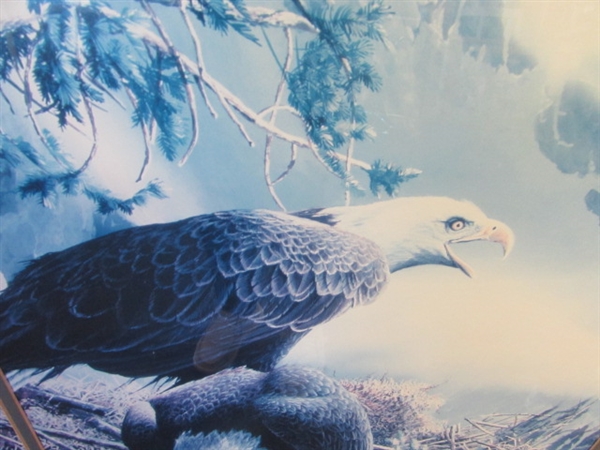 Framed Eagle Print in Oak Frame