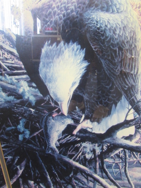 Framed Eagle Print in Oak Frame