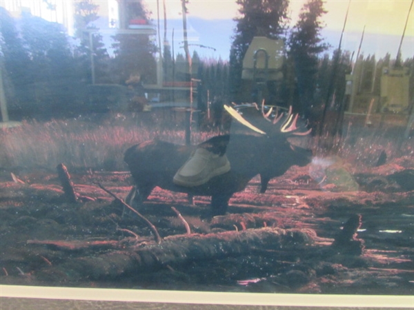 Large Framed and Matted Moose Print