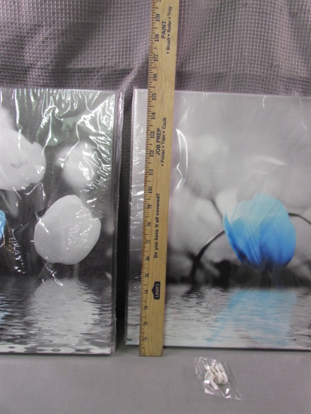 New- Black, White, and Blue Tulip 3 Pc Canvas Set