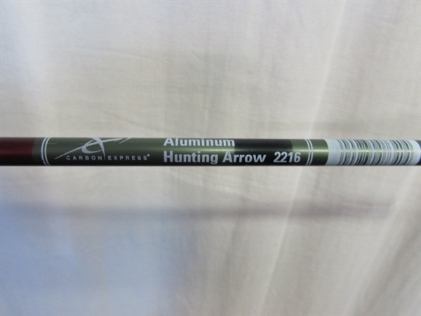 Quicksilver Mossy Oak Bow w/Assorted Arrows