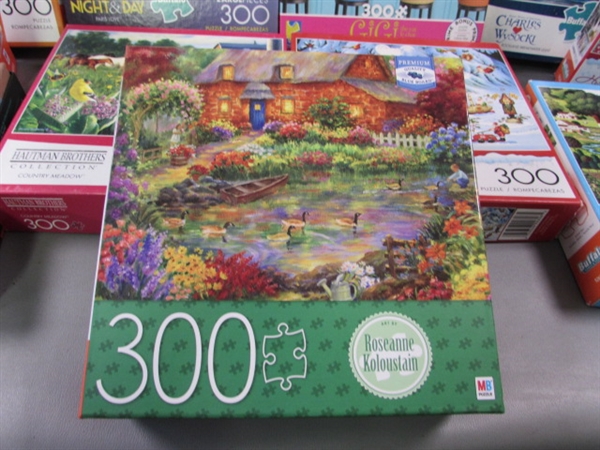 11 300-Piece JigSaw Puzzles & Puzzle Mat