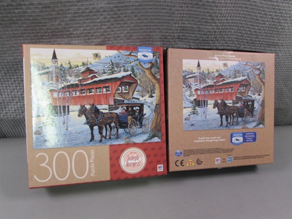 11 300-Piece JigSaw Puzzles & Puzzle Mat