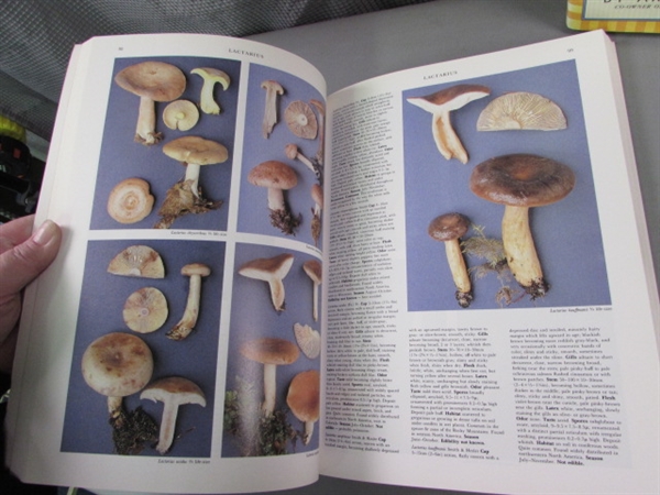 Mushroom Cookbooks