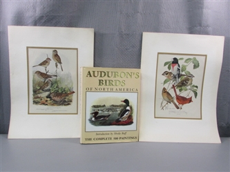 Hardcover Audubons Birds of North America & Matted Bird Prints