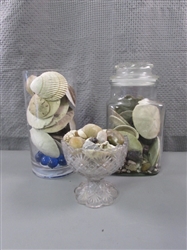 Collection of Glass Containers with Shells/Rocks