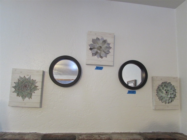Succulent Canvas Prints & 9 Round Mirrors
