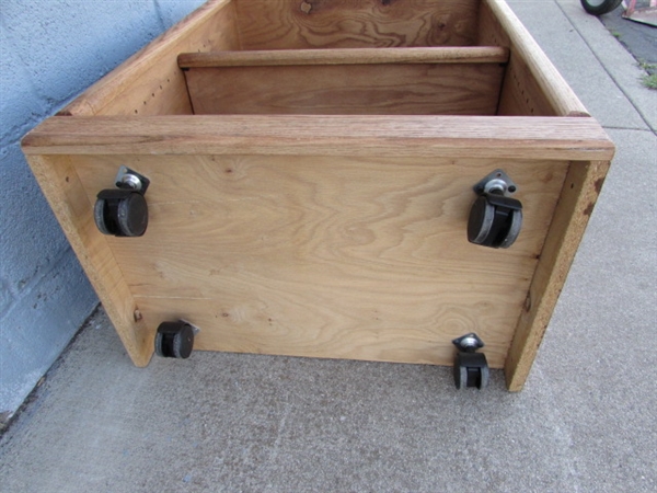 Oak Cabinet w/Adjustable Shelf