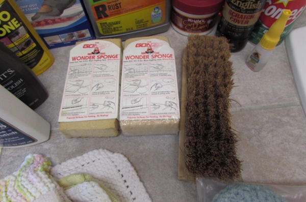 Cleaning Products and Scrub Brushes