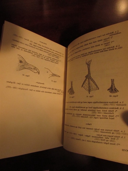 Books: Fuglene I Farger-1956. Den Driltelige Ethink- 1894