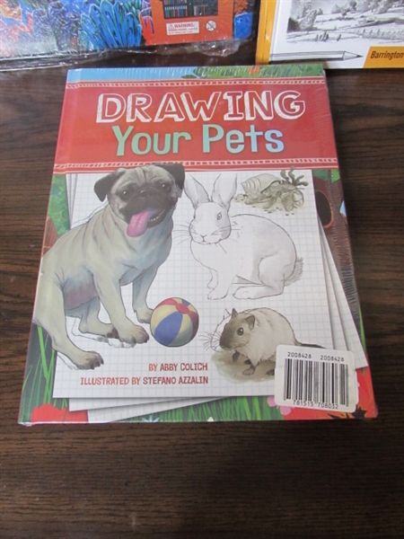 Brand New Art Set & Drawing Books