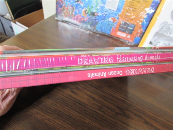 Brand New Art Set & Drawing Books