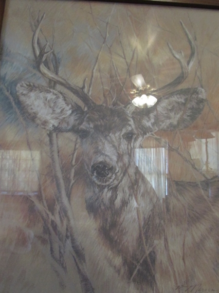 Framed Buck Picture By K. Maroon 1978