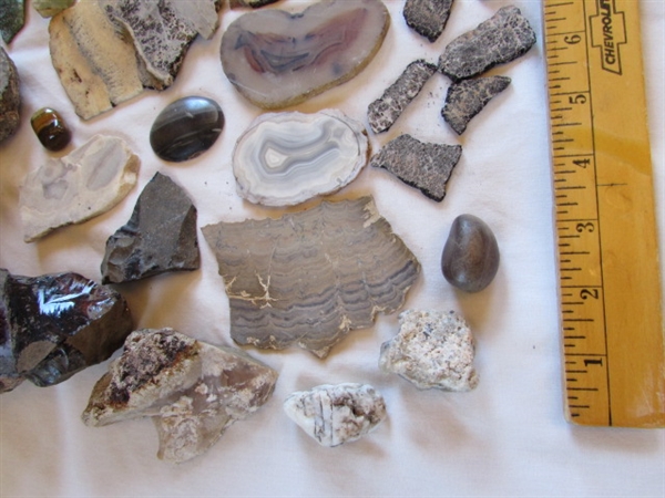 Geodes, Rocks, Stones, and Books