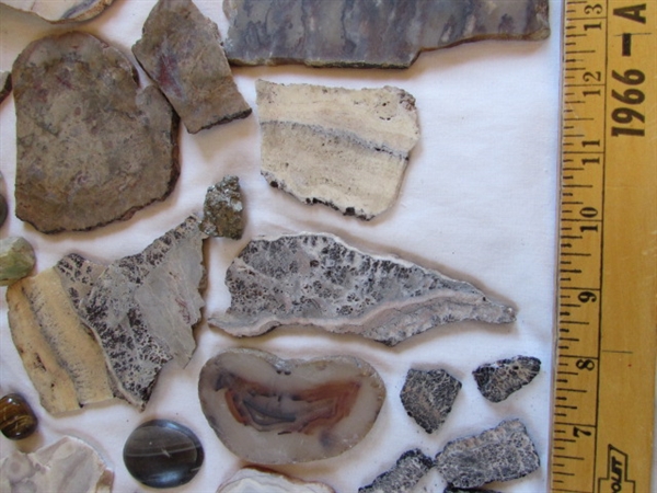 Geodes, Rocks, Stones, and Books