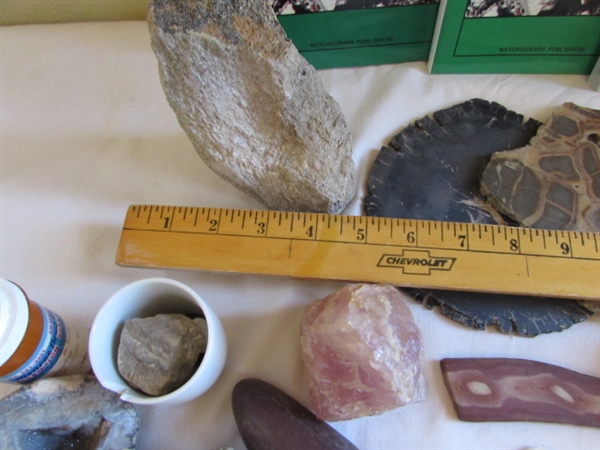 Geodes, Rocks, Stones, and Books